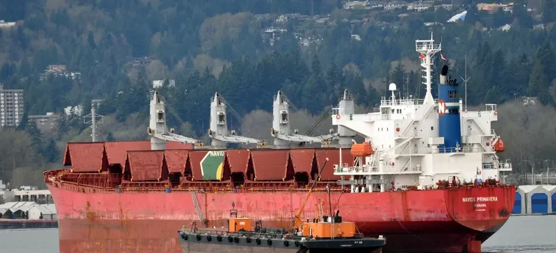 PAULINE Bulk Carrier IMO 9325350 photo 6