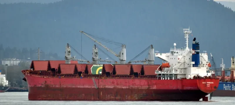 PAULINE Bulk Carrier IMO 9325350 photo 8