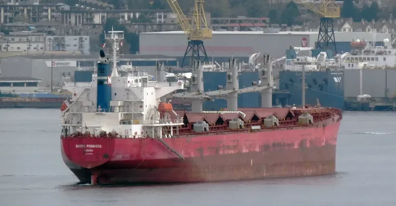 PAULINE Bulk Carrier IMO 9325350 photo 9