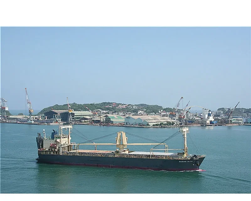 SPRING ARAM General Cargo IMO 9325386 photo 4