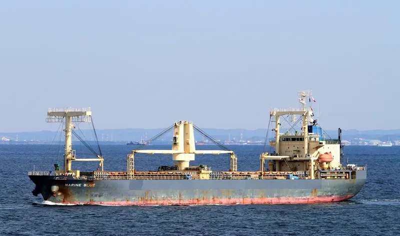 SPRING ARAM General Cargo IMO 9325386 photo 8