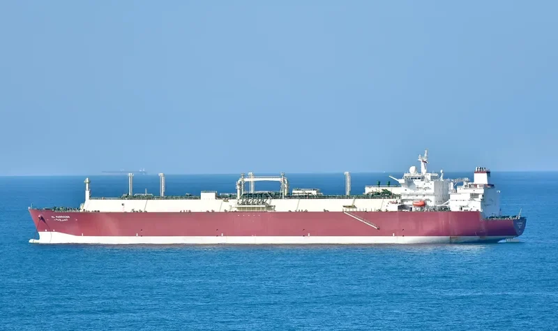 AL MARROUNA General Cargo IMO 9325685 photo 2