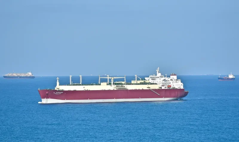 AL MARROUNA General Cargo IMO 9325685 photo 3