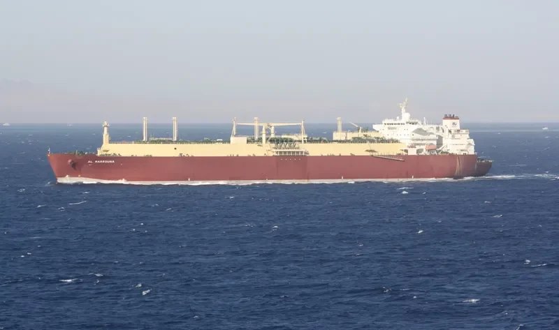 AL MARROUNA General Cargo IMO 9325685 photo 6