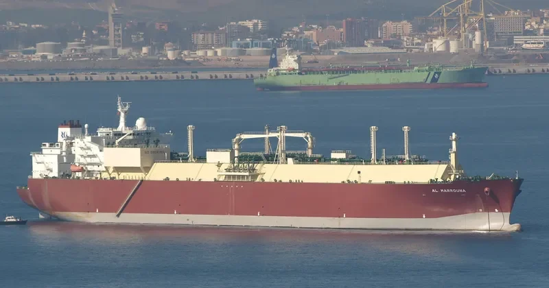 AL MARROUNA General Cargo IMO 9325685 photo 7