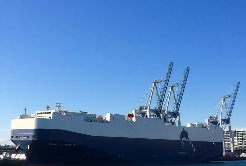 TRANS FUTURE 7 General Cargo IMO 9326093 photo 8