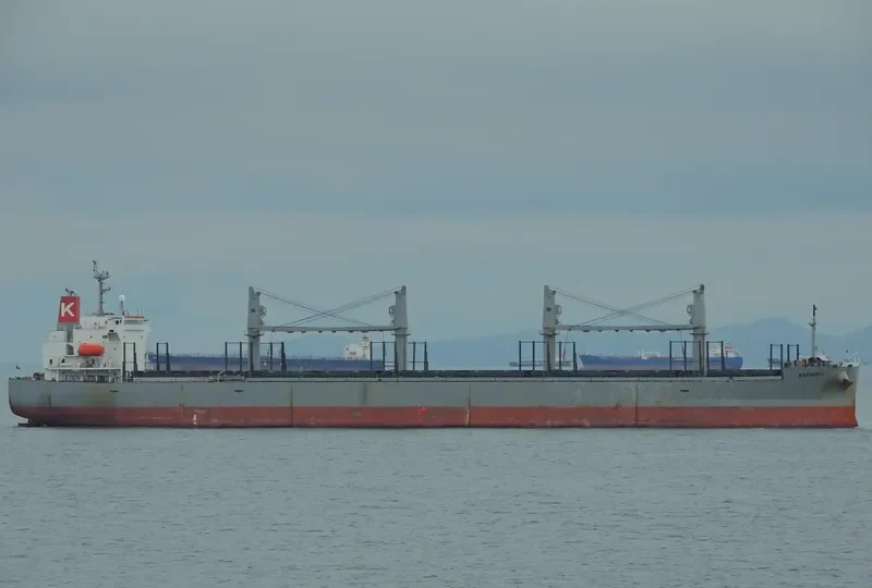 THOR FUTURE Bulk Carrier IMO 9326146 photo 7