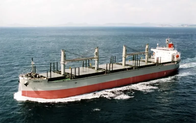 THOR FUTURE Bulk Carrier IMO 9326146 photo 10