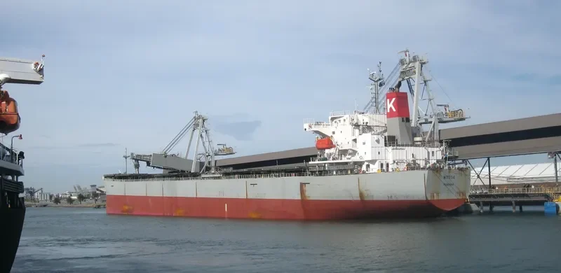 MITOSE Bulk Carrier IMO 9326158 photo 2