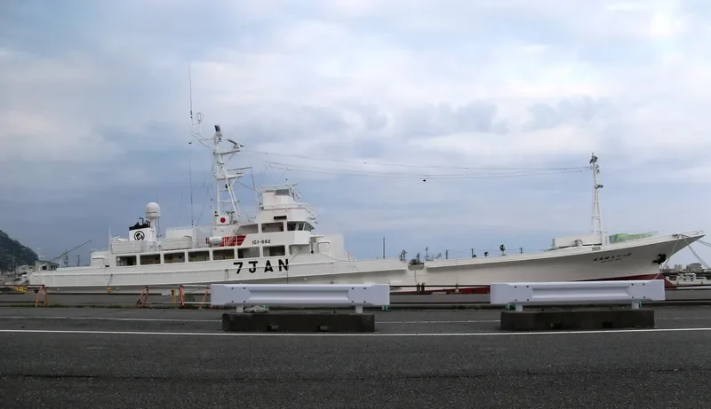 INARI MARU NO.85 General Cargo IMO 9326263 photo 8