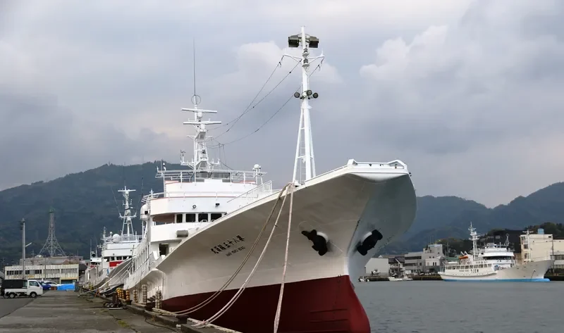 INARI MARU NO.85 General Cargo IMO 9326263 photo 10
