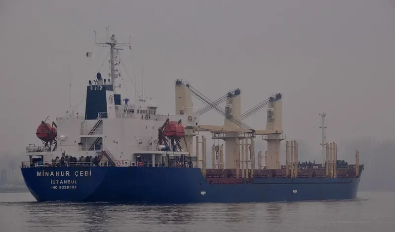 TRONA Bulk Carrier IMO 9326304 photo 4