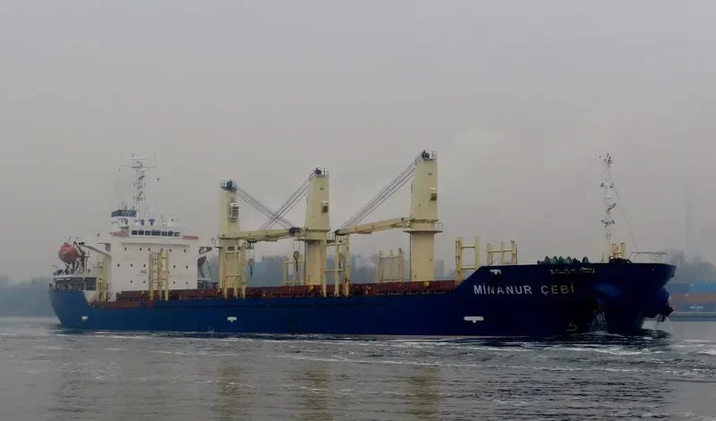 TRONA Bulk Carrier IMO 9326304 photo 10