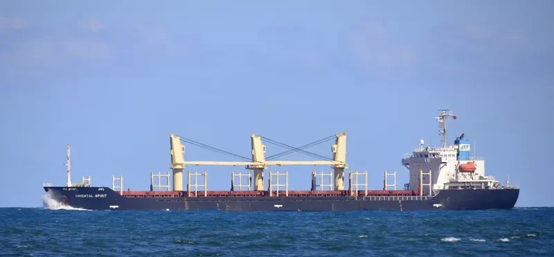 ORIENTAL SPIRIT Bulk Carrier IMO 9326316 photo 4