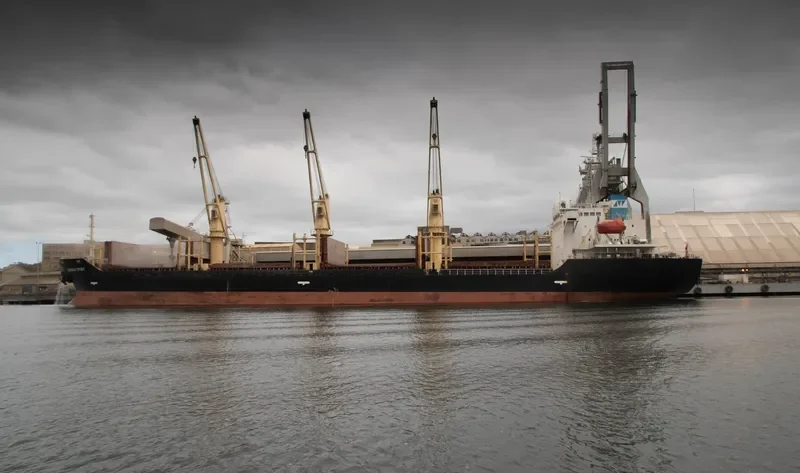 SHANGHAI SPIRIT Bulk Carrier IMO 9326328 photo 5