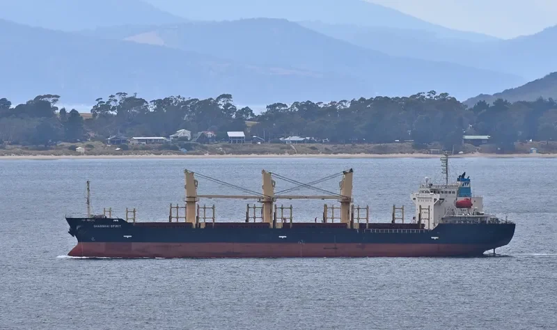 SHANGHAI SPIRIT Bulk Carrier IMO 9326328 photo 7