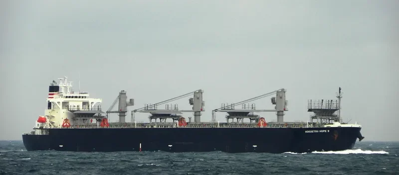 UNI GLORY Bulk Carrier IMO 9326366 photo 5