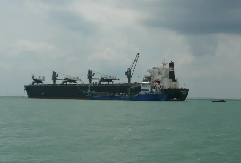 UNI GLORY Bulk Carrier IMO 9326366 photo 9