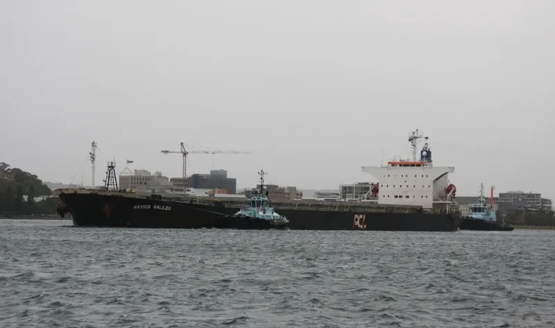 NAVIOS GALILEO Bulk Carrier IMO 9326536 photo 4
