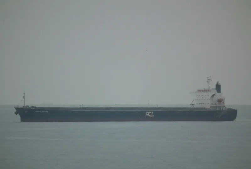 NAVIOS GALILEO Bulk Carrier IMO 9326536 photo 6