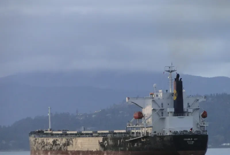 NAVIOS GALILEO Bulk Carrier IMO 9326536 photo 7