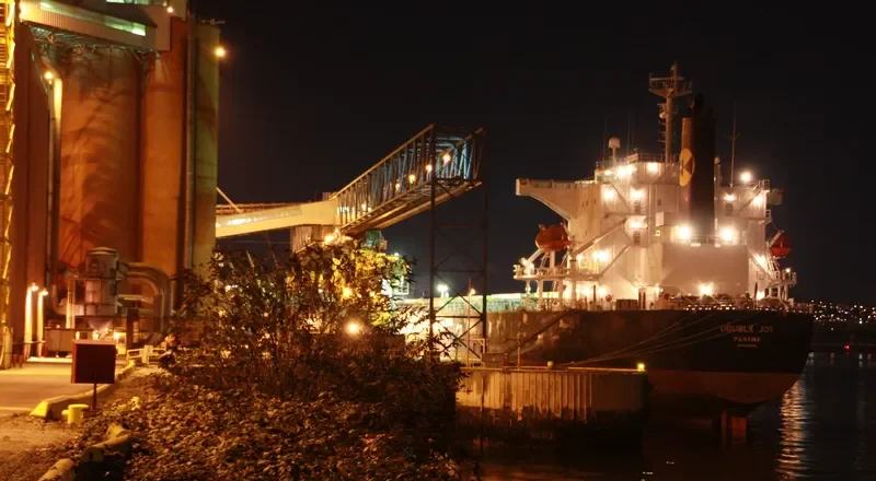NAVIOS GALILEO Bulk Carrier IMO 9326536 photo 8