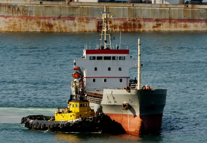 QING AN Bulk Carrier IMO 9327126 photo 8