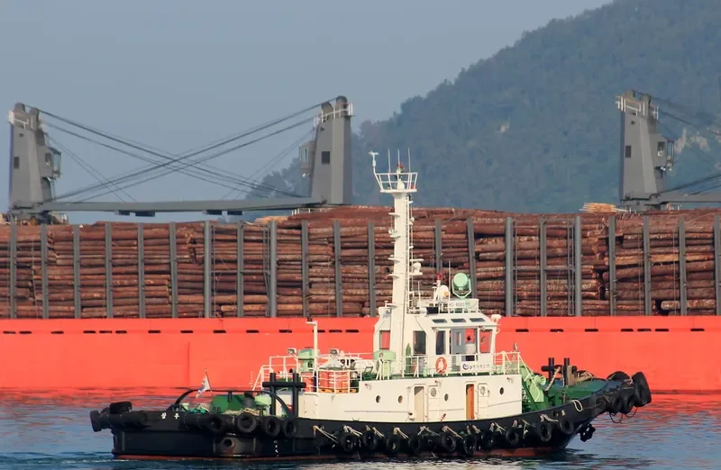 SAM WOO General Cargo IMO 9327607 photo 10