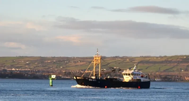 RONA General Cargo IMO 9327712 photo 10