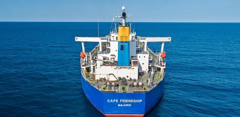 CAPE FRIENDSHIP Bulk Carrier IMO 9327736 photo 2