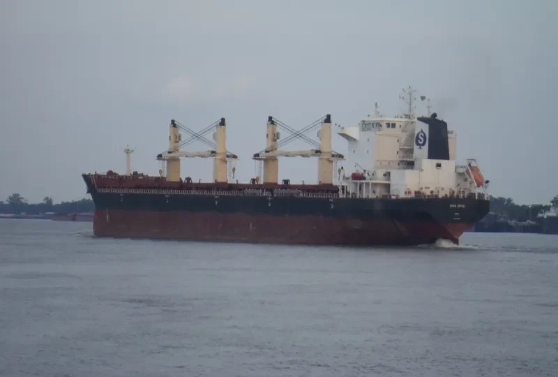 SPAR SPICA Bulk Carrier IMO 9328522 photo 6