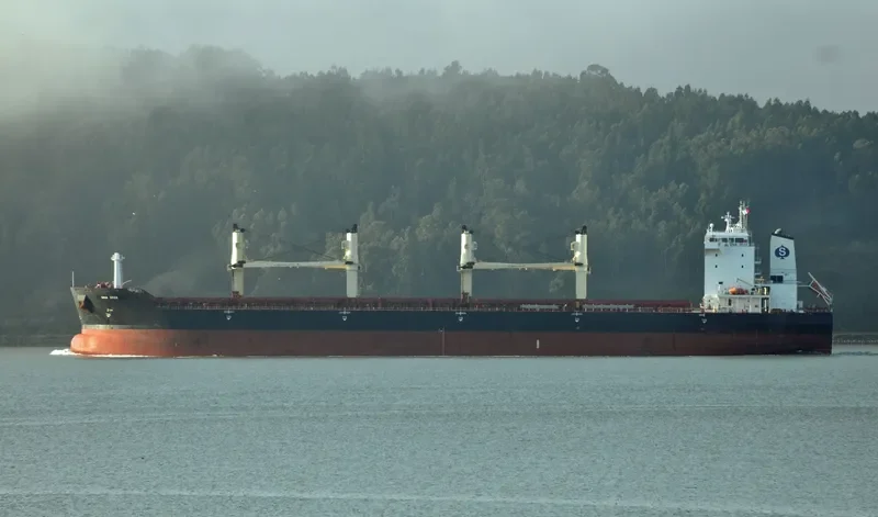 SPAR SPICA Bulk Carrier IMO 9328522 photo 8