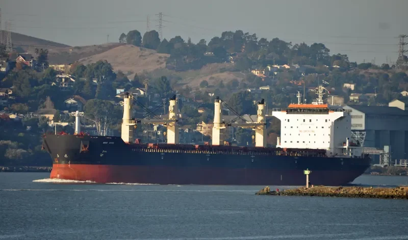 SPAR SPICA Bulk Carrier IMO 9328522 photo 9