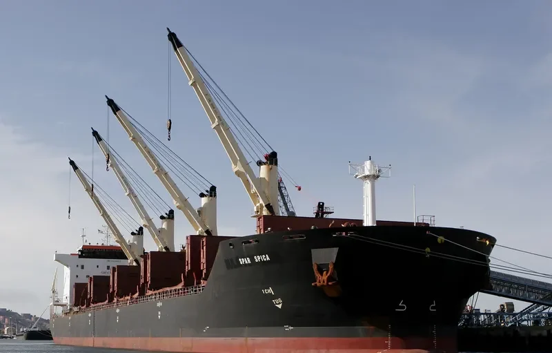 SPAR SPICA Bulk Carrier IMO 9328522 photo 10