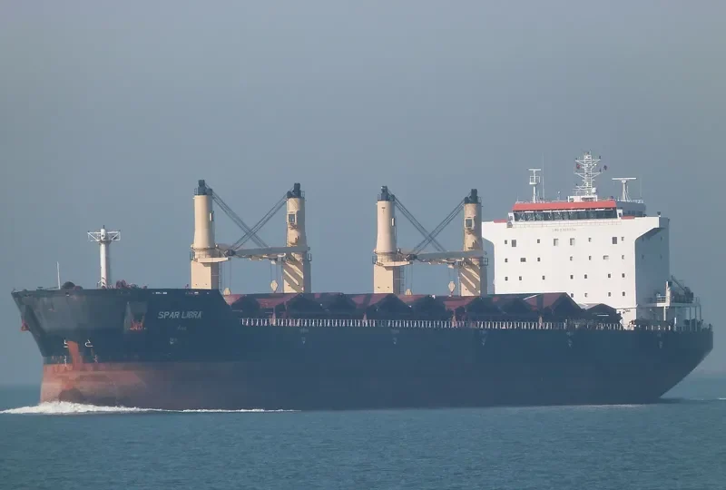 SPAR LIBRA Bulk Carrier IMO 9328534 photo 8