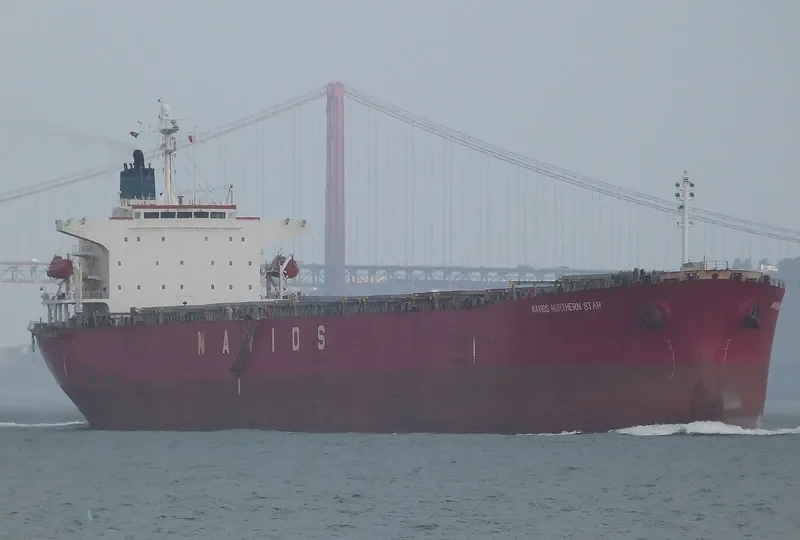 LT OCEAN STAR Bulk Carrier IMO 9328560