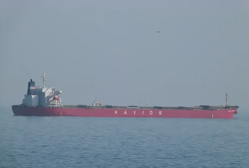 LT OCEAN STAR Bulk Carrier IMO 9328560 photo 3