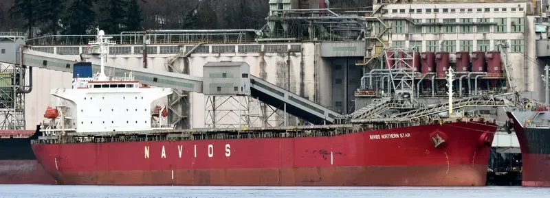 LT OCEAN STAR Bulk Carrier IMO 9328560 photo 5