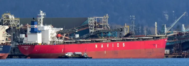 LT OCEAN STAR Bulk Carrier IMO 9328560 photo 8