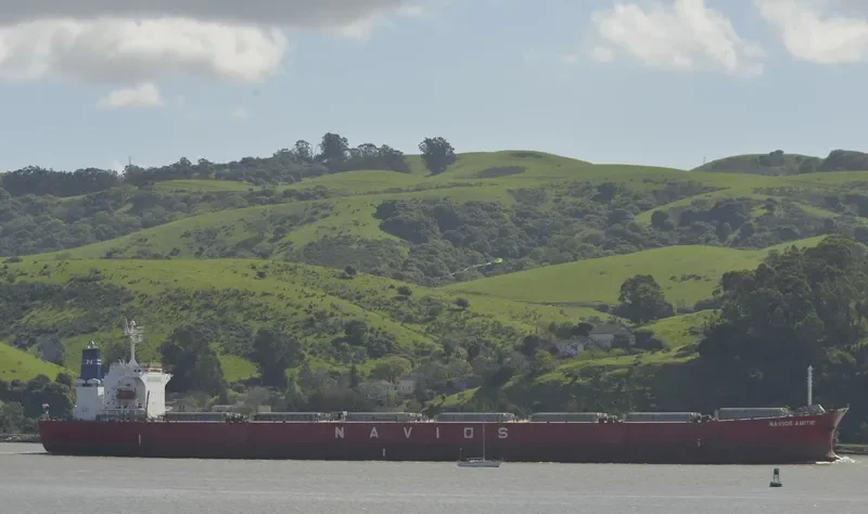 GLORY LOONG Bulk Carrier IMO 9328572 photo 7