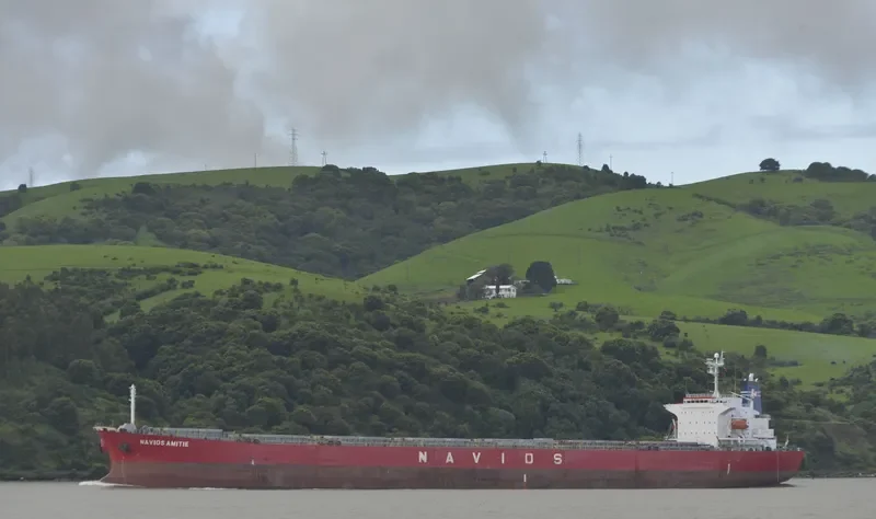 GLORY LOONG Bulk Carrier IMO 9328572 photo 9