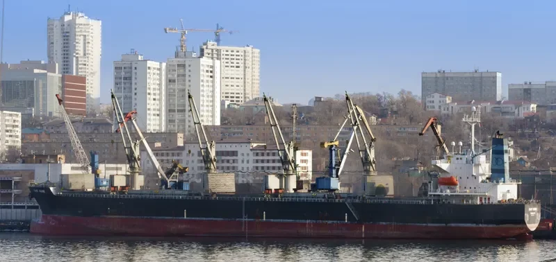 GANT MUSE Bulk Carrier IMO 9328675