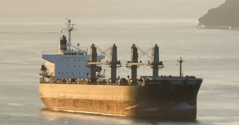 GANT MUSE Bulk Carrier IMO 9328675 photo 2