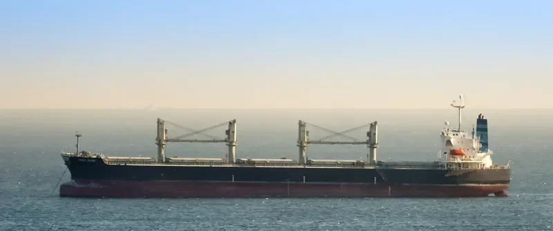 GANT MUSE Bulk Carrier IMO 9328675 photo 3