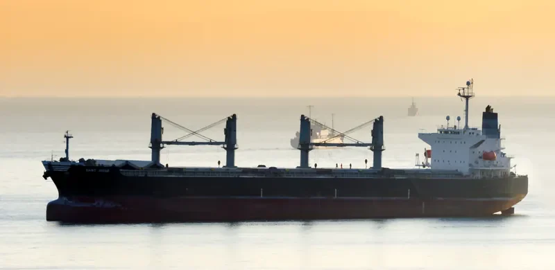 GANT MUSE Bulk Carrier IMO 9328675 photo 5