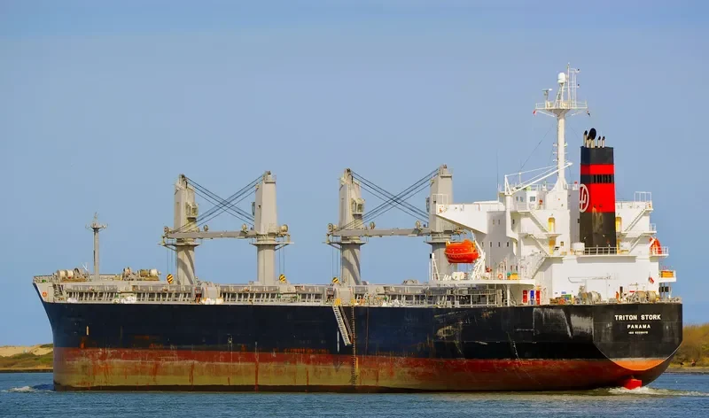 GANT MUSE Bulk Carrier IMO 9328675 photo 6