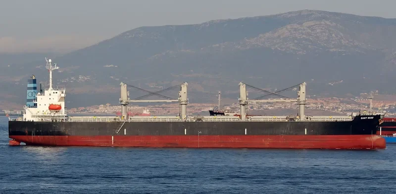 GANT MUSE Bulk Carrier IMO 9328675 photo 7