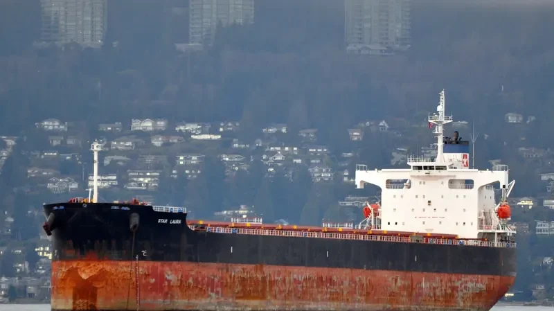 STAR LAURA Bulk Carrier IMO 9328936 photo 4