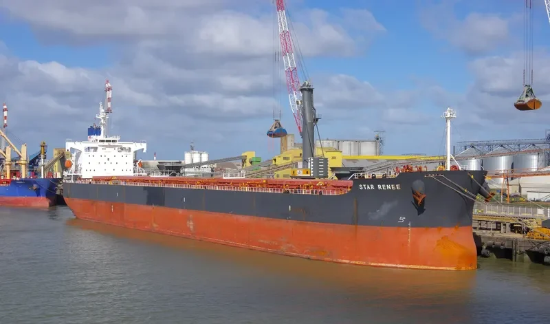 STAR RENEE Bulk Carrier IMO 9328948 photo 2