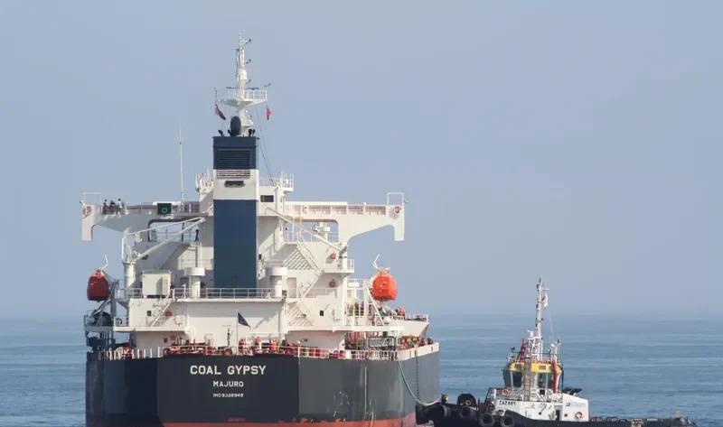 STAR RENEE Bulk Carrier IMO 9328948 photo 4
